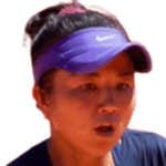 Julia Konishi Camargo Silva